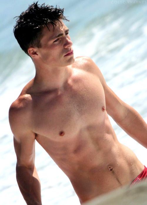 colton haynes